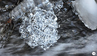 温室｜塚田有一 06