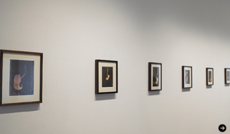 ジャン=ミシェル オトニエルによる展覧会『マイ ウェイ』来日 12