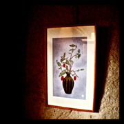 クラブキング,桑原茂一,Diary-T,7