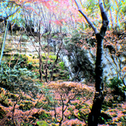 クラブキング,桑原茂一,Diary-T,7