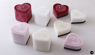 LIVING LIGHT|rumors 02