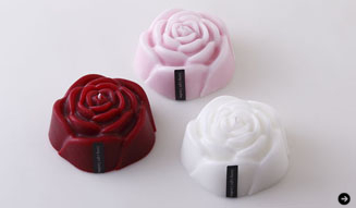 LIVING LIGHT|rumors 04