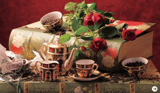 FUJIFILM X-Pro1|フルサイズ機に匹敵する“プレミアムカメラ”3