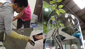 フレスコ|ワークショップ 04