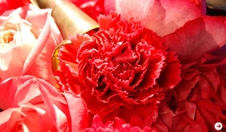 FLORALUXE｜バレンタインデー 04