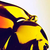 マシュー・ワォルドマン|NOOKA 08