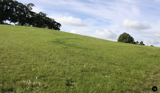 上野容子|スクーグスチルコゴーデン 03