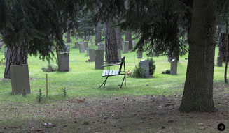 上野容子|スクーグスチルコゴーデン 06