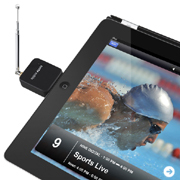 フォーカルポイント