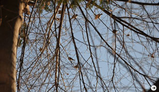 塚田有一｜温室 04