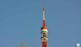 塚田有一｜温室 05