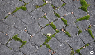 塚田有一｜温室 07