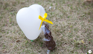 ピエール・エルメ・パリ 01