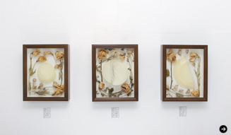 エコ&アート アワード,コニカミノルタプラザ,KONICA MINOLTA, 5