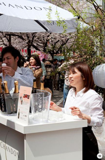 お花見 CHANDON 目黒川 01