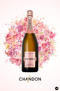 お花見 CHANDON 目黒川 02