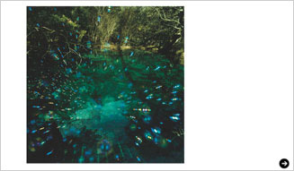 DECOdeBONAIR|大橋愛 02