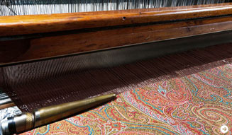 エトロ|アルニカ 09