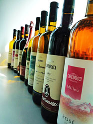 アマゾン|カーブドッチ ワイナリー 02