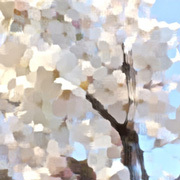 クラブキング,桑原茂一,Diary-T,3