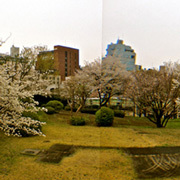 クラブキング,桑原茂一,Diary-T,2