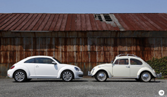 Volkswagen the Beetle|フォルクスワーゲン ザ・ビートル