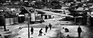 レンジファインダーカメラ,ライカ M モノクローム,M モノクローム,ライカ アポ・ズミクロンM f2.0/50mm ASPH,３