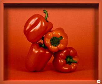 エラッド・ラスリー展 02