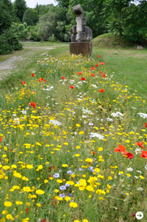 vol.8 ジャック・セルビエールの庭 06