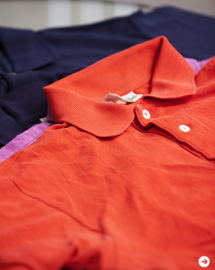 LACOSTE|ラコステ 05