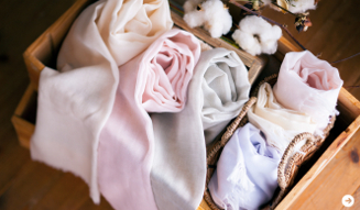 東北コットンプロジェクト 06