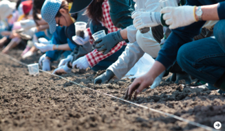 東北コットンプロジェクト 02
