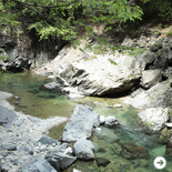 Chapter 1|森はなんのために在るのか