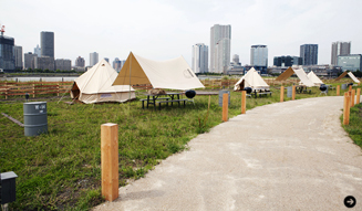 WILDMAGIC|ワイルドマジック 06