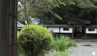 森の神に会う旅 Chapter3 19