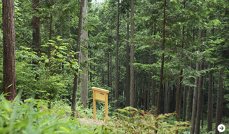 森の神に会う旅 Chapter3 21