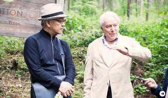 more trees×LOUIS VUITTON 03