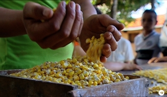 MOVIE｜モンサントの不自然な食べもの 03