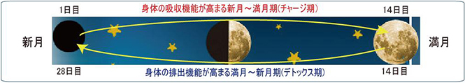 WELEDA|ヴェレダ MOON