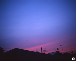 荒木経惟展「センチメンタルな空」　02