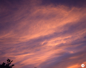 荒木経惟展「センチメンタルな空」　03