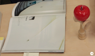 伊藤嶺花×鈴木康広｜スピリチュアル対談（前編） 16