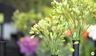 Nicolai Bergmann×Chico SHIGETAエキサイティング対談 04