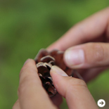 特集|岐阜県の“ウェルネス・ツーリズム” 01