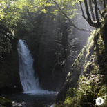 特集|岐阜県の“ウェルネス・ツーリズム” 03