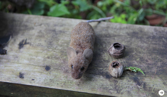 WELLNESS TOURISM chapter1 04