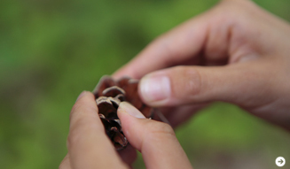 WELLNESS TOURISM chapter1 05