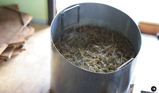 WELLNESS TOURISM chapter1 28