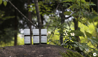 WELLNESS TOURISM chapter1 34