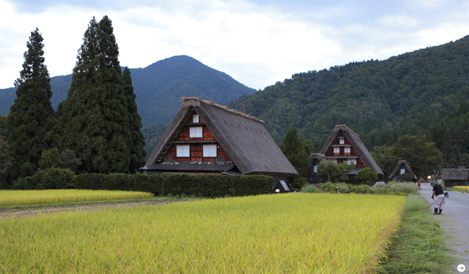 WELLNESS TOURISM chapter1 16